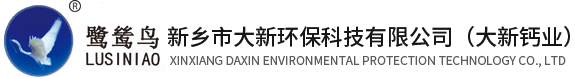 新鄉(xiāng)市大新環(huán)保科技有限公司（大新鈣業(yè)）